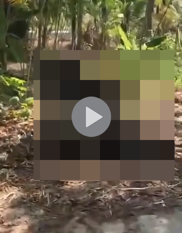 VIDEO KHONG CHE: Toàn cảnh sự việc