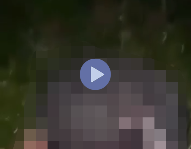 VI:DEO 0CHE: Cân nhắc khi xem