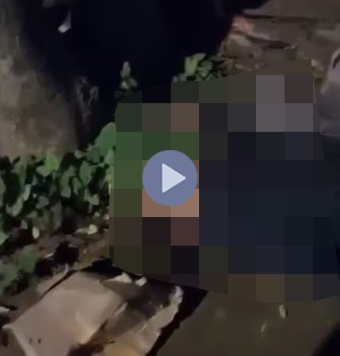 VI:DEO 0CHE: Cân nhắc khi xem