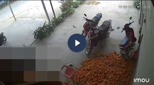 VI:DEO 0CHE: Cân nhắc khi xem