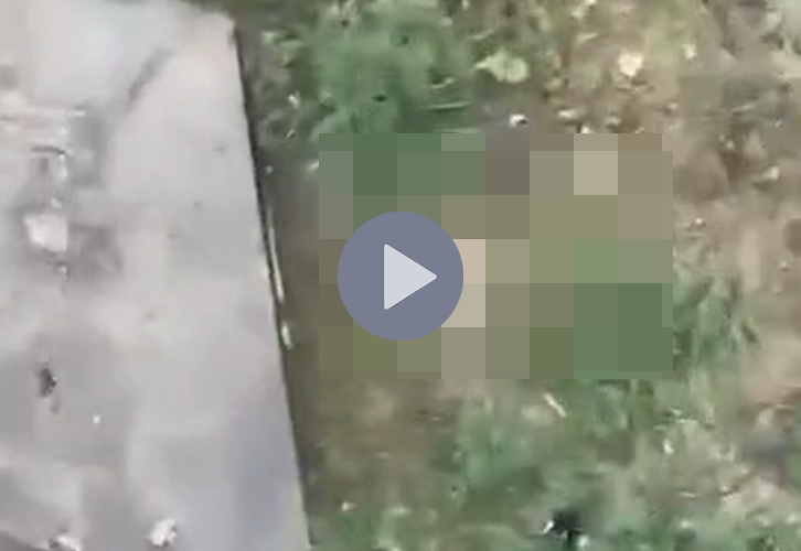 VI:DEO 0CHE: Cân nhắc khi xem