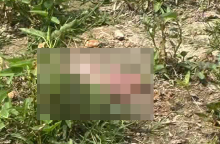 ẢNH 0CHE: Cân nhắc khi xem