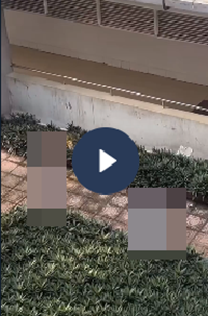 VI:DEO KHONG CHE: Toàn cảnh sự việc