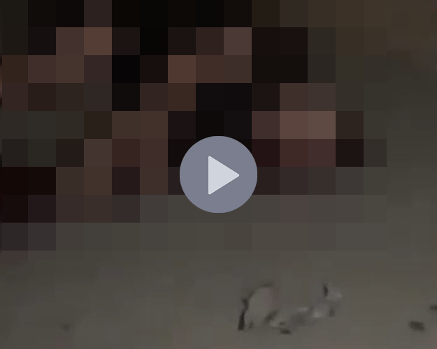 VI:DEO 0CHE: Cân nhắc khi xem