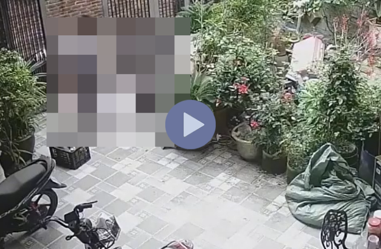 VI:DEO 0CHE: Cân nhắc khi xem