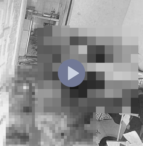 VI:DEO 0CHE: Cân nhắc khi xem