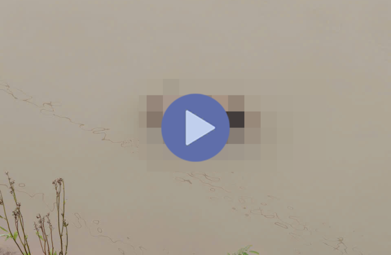 VI:DEO 0CHE: Cân nhắc khi xem